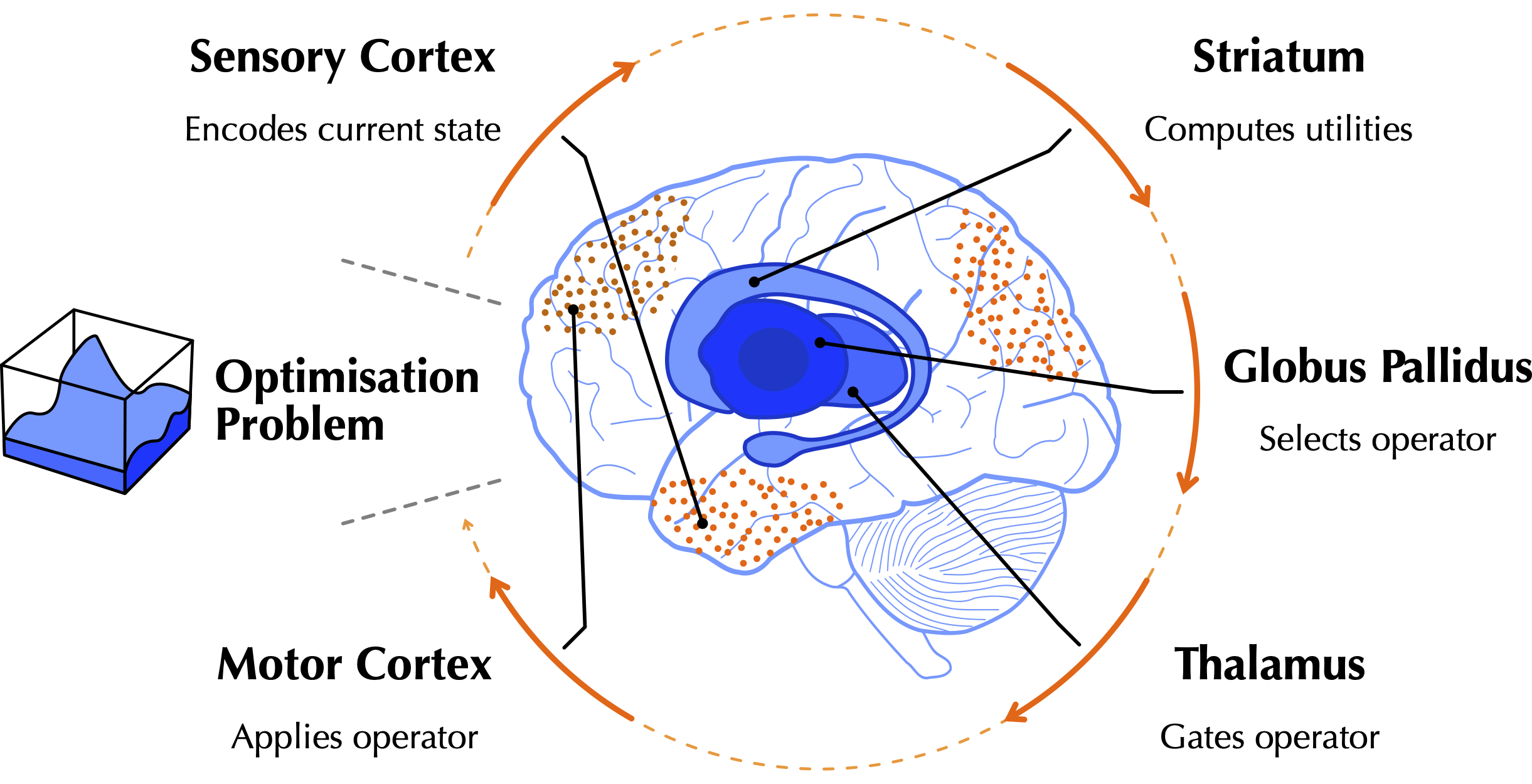 Loop diagram